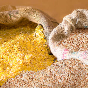 corn germ meal-so1