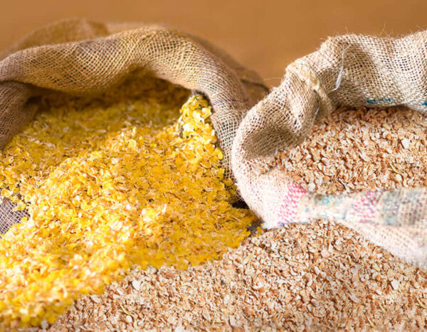 corn germ meal-so1