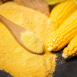 Corn protein powder