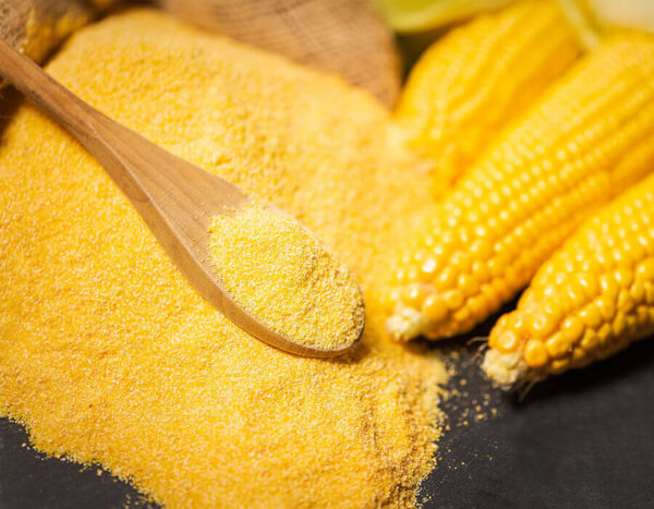 Corn protein powder